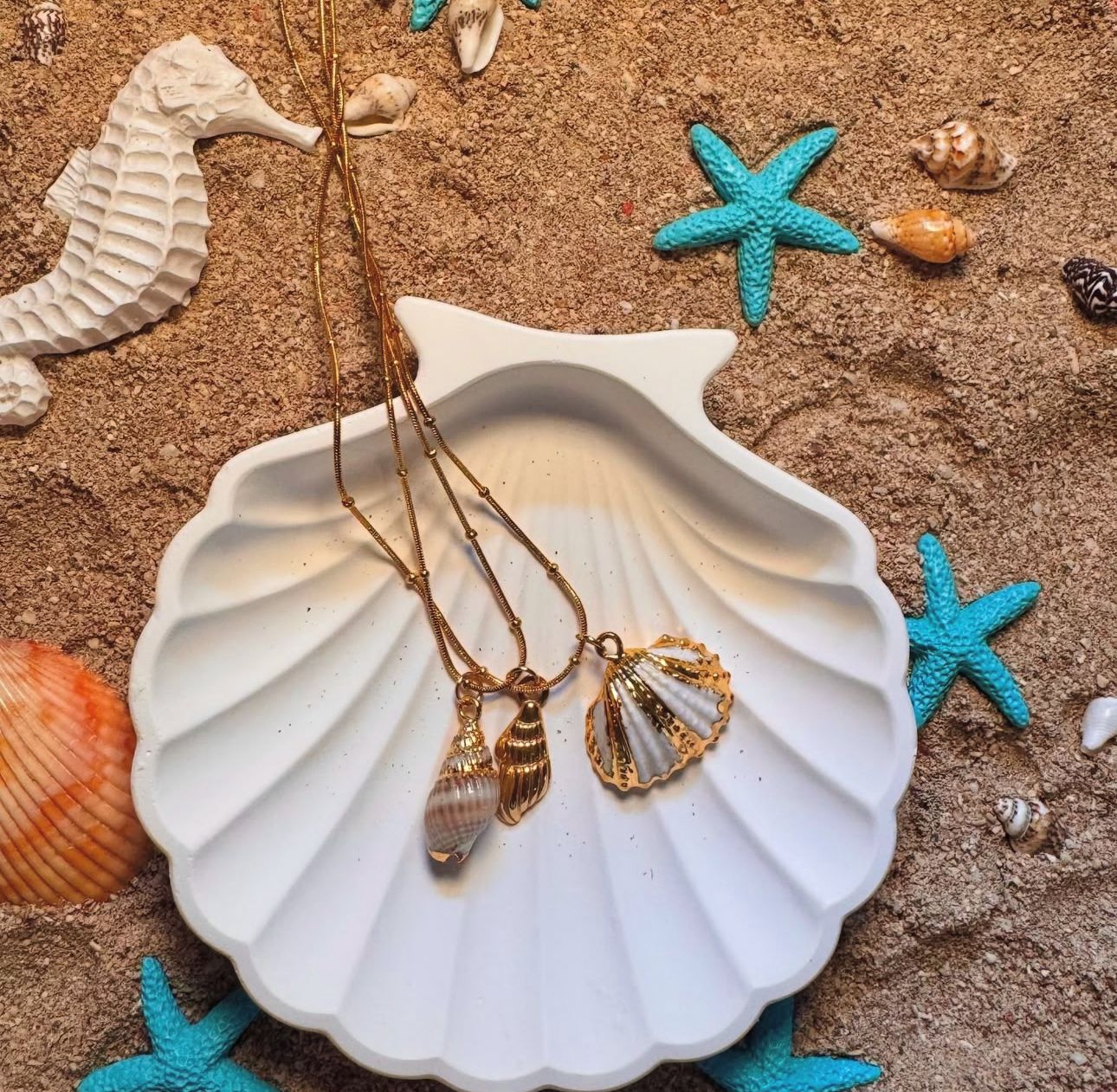 Shell heart